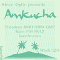 Steve Optix Presents Amkucha on Kane FM 103.7 - Week 120