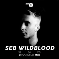 Seb Wildblood - BBC Radio 1 Essential Mix (18.04.20)