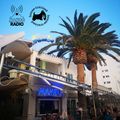Café Mambo Radio Ibiza - House Trained Show Episode 111 (16/06/23)