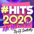 Mix Hits con Level 2020 By Dj Sadosky