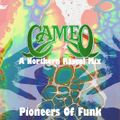 Cameo - Pioneers Of Funk (Northern Rascal Gets Down)