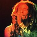 Bob Marley and the Wailers - Oakland Auditorium, Oakland, CA 11-30-1979 Soundboard Full Concert