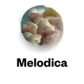 Melodica 27 July 2015