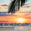 Made in Hungary – Hazai slágerek 120 percben, S. Miller Andrással. www.poptarisznya.hu  2022-06-22.