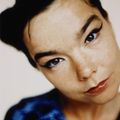 DJ Funkshion Tributes - Björk (The Chill-Out Edition)