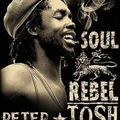 Peter Tosh - Word, Sound & Power-An Anthology (1965 - 1987)