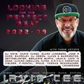 Looking for the Perfect Beat 2022-09 - RADIO SHOW by Irvin Cee