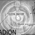 Sun Araw – Second System Vision Radio: Celestial Digestion (02.19.21)