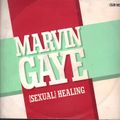 Mixmaster Morris - Sexual Healing 60 min mix