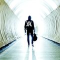 Alan Walker Live At Electric Zoo 2018