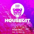 Deep House Cat Show - Pride Mix - feat. Till West
