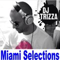 Dj Trizza Deep House Top Exclusive Mix (Miami Selections)