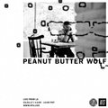 Peanut Butter Wolf - 3rd March 2017