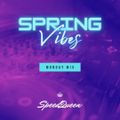 Spring Vibes Monday Mix #011