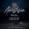Anestesia Radio 013 July - Guest Mix CALLECATt