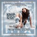 Amine Weldelhashemy Knip & Go Yearmix 2018