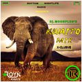 Dj. Moonplug's Kwaito Mix [ROYN Radio] {Ep.59} (Guestmix)