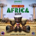 Drumz from Africa - Volume 1 mixed by Jsharkz