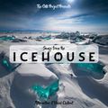 SONGS FROM THE ICEHOUSE 089: Alternative & Vocal Chillout