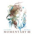 Fluidnation / Momentary III