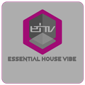 Essential House Vibe 2021 Recap Pt.1