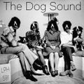 LPH 591 - The Dog Sound (1982-2010)