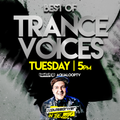 Pulsedriver - Best Of Trance Voices Vol.1 (Mix Session)