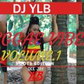 REGGAE VIBEZ VOLUME #1 BY DJ YLB (roots Edition)