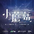 小蘑菇 第二季04