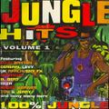 Various - Jungle Hits Volume 1 ( Jungle / Drum n Bass / Raggacore / Breakbeat )