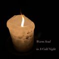 #29 Warm Soul in A Cold Night / Steve Hiett, Roy Ayers, Sam Gendel, Wilkes,Brainstory,Emotions,Rufus