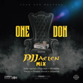 ONE DON RIDDIM [FULL PROMO] - SHAB DON RECORDS  mix by dj jaelen