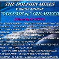 THE DOLPHIN MIXES - VARIOUS ARTISTS - ''VOLUME 29'' (RE-MIXED)