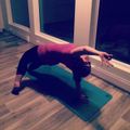 DJÉRÔME - Yoga chaud @ Zen studio de yoga de Matane [2016-10-28]