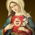 Consagração a Nossa Senhora, um caminho de santidade