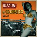 Buzzsaw Joint Vol 22 (Dj Cicodelico)