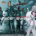 Winter Swag