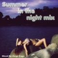 Summer In the Night (Erotic/Disco Sounds)