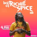 #05 reggae [TS MiX] best of richie spice [dj brio] mrprolific mix 2021 livelargeent mix