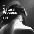 Natural Process #14