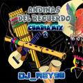 ANDINAS DEL RECUERDO CUMBIA MIX 2-DJ_REY98