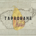 TAPROBANE TUNES Episode 013 - DARIN EPSILON (USA)