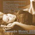 Armada Music 2020(Kisgyerek78 - MixMeister)