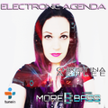 Christina Ashlee - Electronic Agenda 028