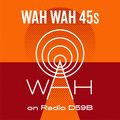 Wah Wah 45s Radio Show #5 on Radio D59b