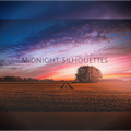 Midnight Silhouettes 10-17-21