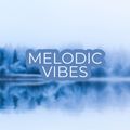 Melodic Vibes - Jan 3, 2022
