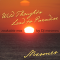 Wild Thoughts Lead to Paradise - Zoukable Tunes Live