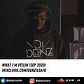 DJ Denz | What I'm Feelin - Sept 2020 | @DenzilSafo1
