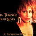 Tina Turner Tribute Mixes